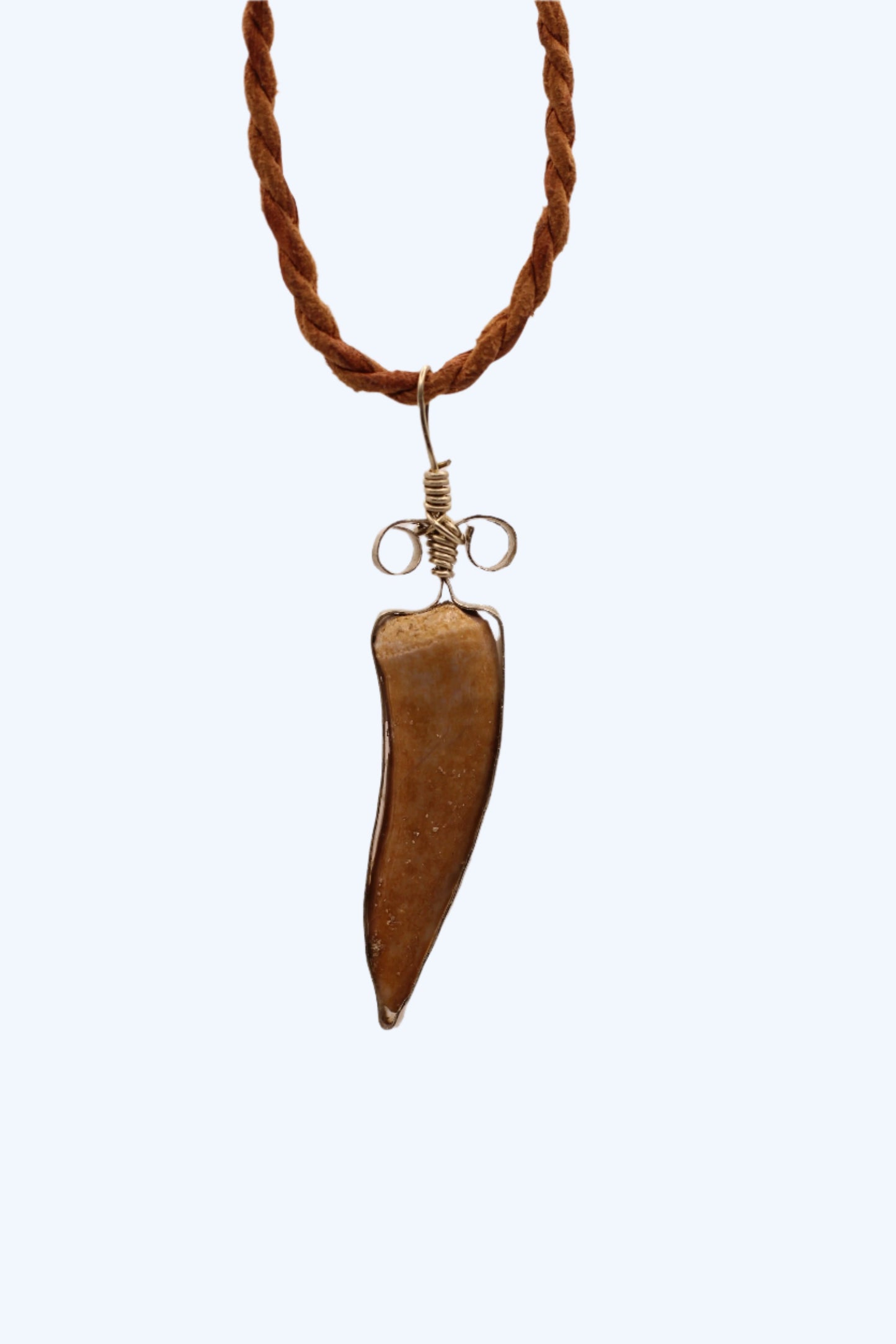Pendentif - Dent Enchodus