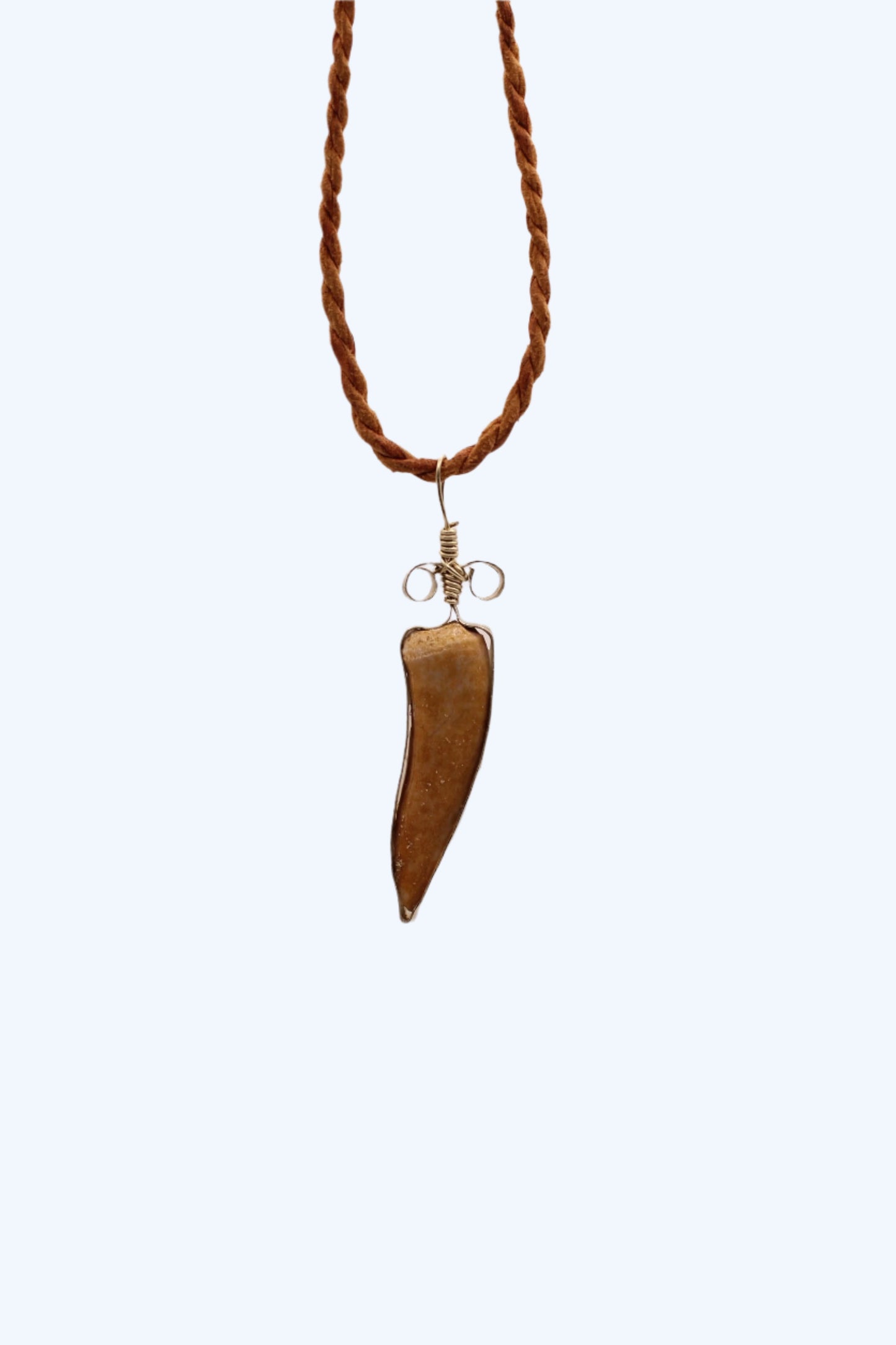 Pendentif - Dent Enchodus